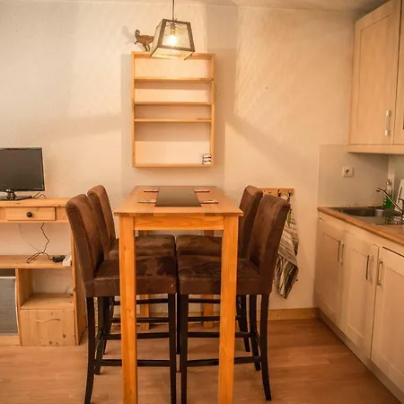 Cosy Studio Chamonix